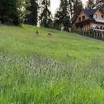 Casa de Férias Dom Na Zielonym Wzgórzu Z Własną Sauną I Jacuzzi Łapsze Niżne