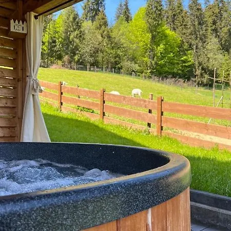 Dom Na Zielonym Wzgorzu Z Wlasna Sauna I Jacuzzi Feriehus Łapsze Niżne