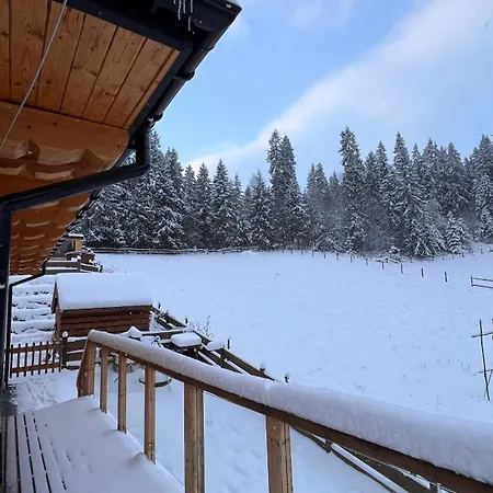 Tatil Evi Dom Na Zielonym Wzgorzu Z Wlasna Sauna I Jacuzzi Łapsze Niżne