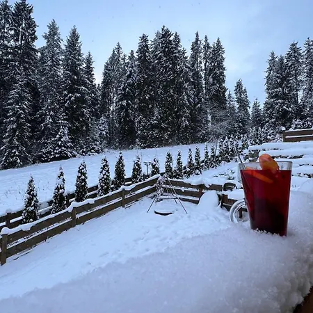 Dom Na Zielonym Wzgorzu Z Wlasna Sauna I Jacuzzi Łapsze Niżne