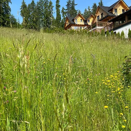 Dom Na Zielonym Wzgorzu Z Wlasna Sauna I Jacuzzi Feriehus *