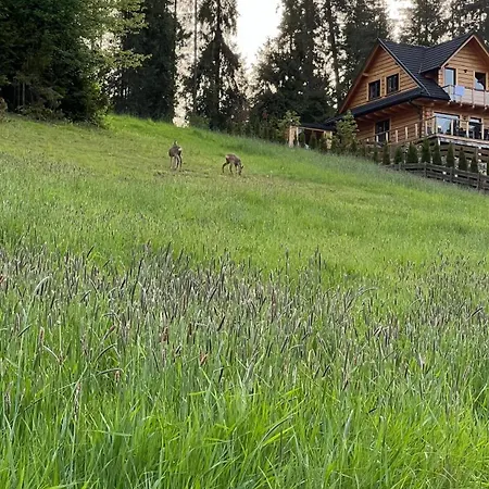 Tatil Evi Dom Na Zielonym Wzgorzu Z Wlasna Sauna I Jacuzzi Łapsze Niżne