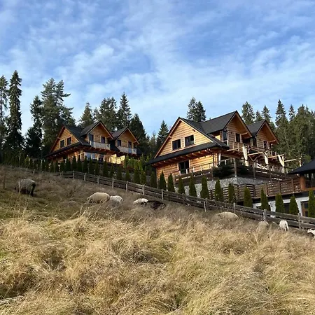 Feriehus Dom Na Zielonym Wzgorzu Z Wlasna Sauna I Jacuzzi *